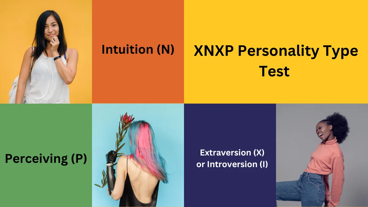 XNXP Personality Type Test 2024 : A Modern Approach to Self-Discovery